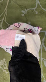 سوتین اسفنجی زنانه طرح Hello Kitty صورتی | فانتزی، نرم و راحت