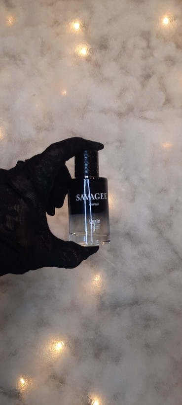عطر مردانه لزلی ساواژ SAVAGEE مدل شماره 06 حجم ۲۵ میل